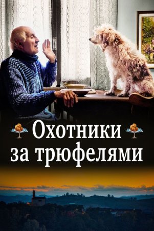 Tryufel ovchilari / Trufel ovchisi Uzbek Tilida